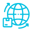 Domestic and International Customs Services